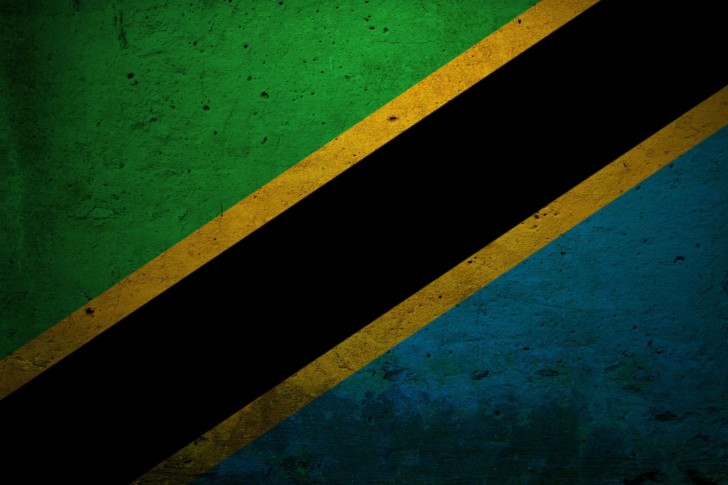 Tanzania-Flag-Art-Wallpaper-485x728